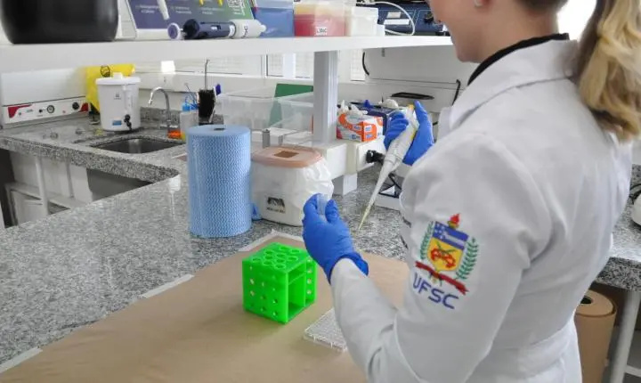 Corticoide usado contra alergias pode afetar crescimento, aponta estudo da UFSC
