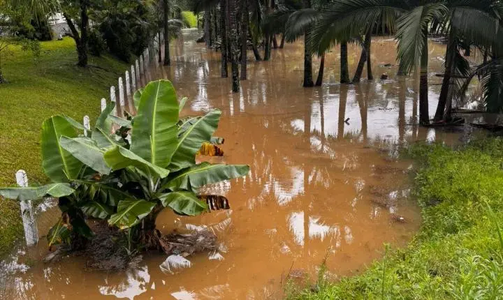 Defesa Civil monitora ruas afetadas pela chuva