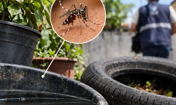 Dengue em Tubarão: veja os bairros com mais focos