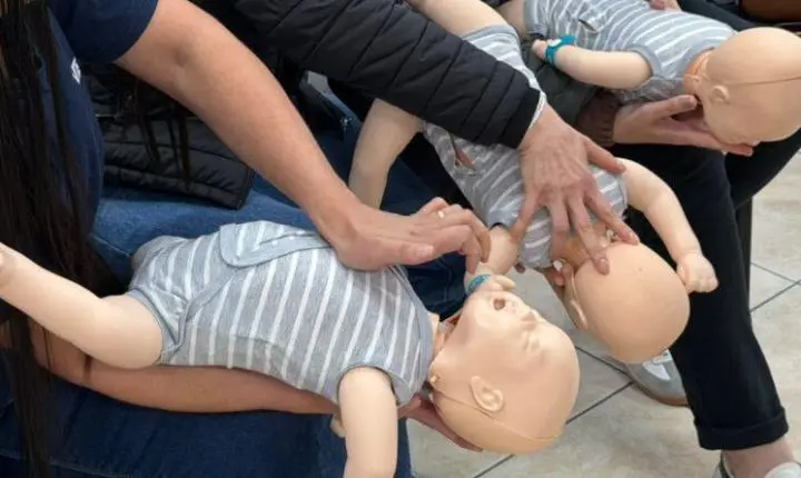 Educação de Gaspar promove capacitação em primeiros socorros para profissionais da educação 
