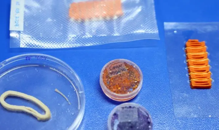 Embrapa avança na produção de alimentos à base vegetal com tecnologia de impressão 3D