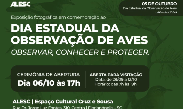 Entre cores e cantos, exposição na Alesc revela a riqueza das aves de Santa Catarina