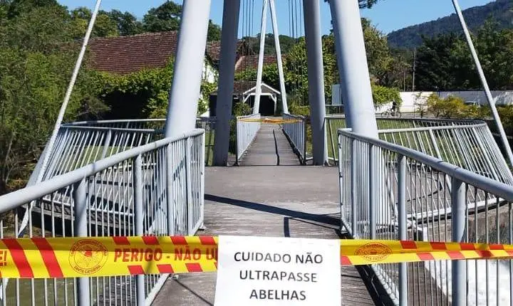 ENXAME DE ABELHAS NA PONTE DO COMPLEXO JARDIM DO IMIGRANTE