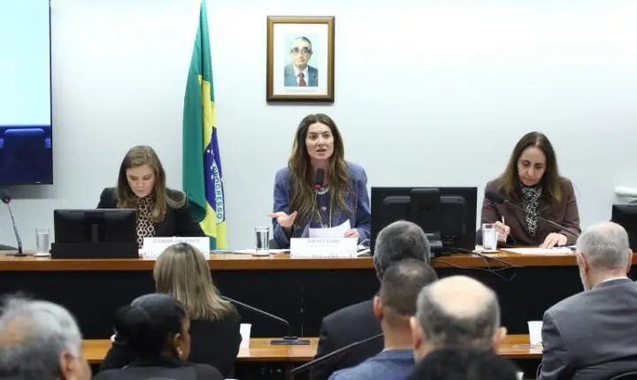 Câmara debate fim das licenciaturas EaD e a qualidade do ensino