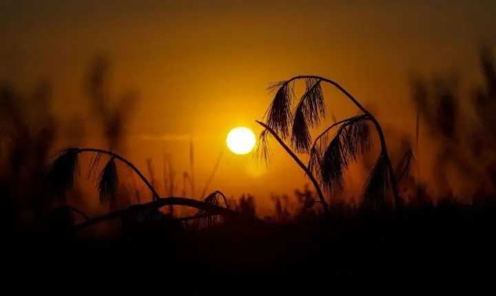 Fim de semana terá sol e calor em SC, mas temporais podem surpreender