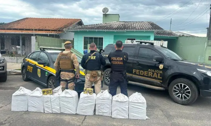 Mais de 230 quilos de cocaína são apreendidos embaixo de piso de residência em Itajaí