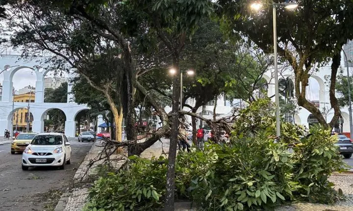 Especialistas explicam se o El Niño causou as fortes ventanias no Rio e em São Paulo