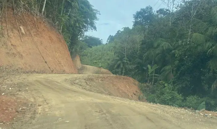 MP instaura procedimento para apurar supressão de vegetação e uso irregular de maquinário público na Vila Itoupava