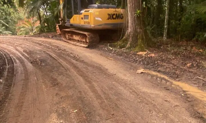MP instaura procedimento para apurar supressão de vegetação e uso irregular de maquinário público na Vila Itoupava