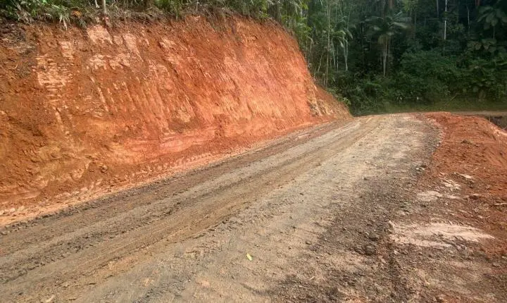 MP instaura procedimento para apurar supressão de vegetação e uso irregular de maquinário público na Vila Itoupava