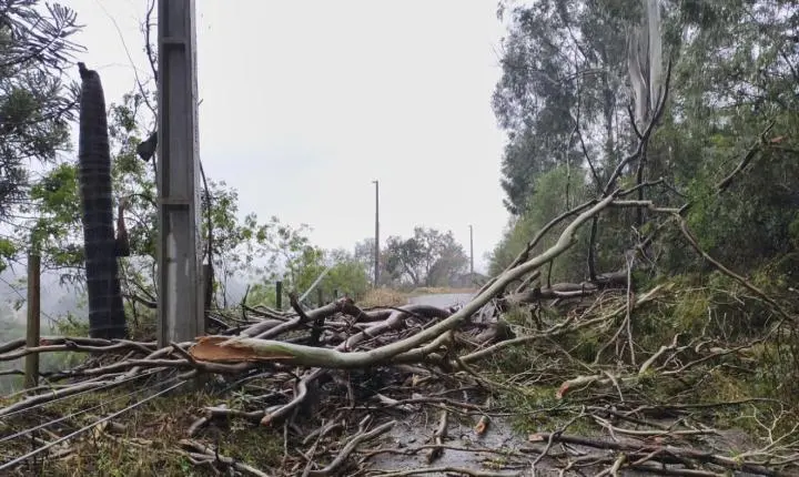 Municípios catarinenses decretam situação de emergência após temporais com granizo