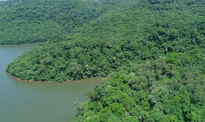 No Junho Verde, Governo do Estado destaca projetos e ações que impulsionam o desenvolvimento sustentável de Santa Catarina