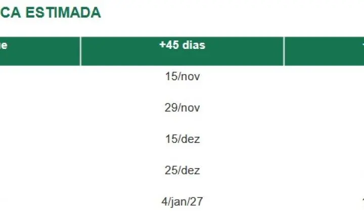 Outubro é a única janela segura para exportar cota uruguaia de carne à China