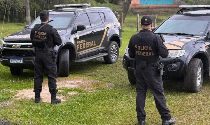 PF investiga esquema de madeira ilegal em SC e afasta policial rodoviário