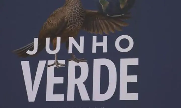 Prazo para cadastrar ações para o Junho Verde termina nesta terça-feira, dia 12