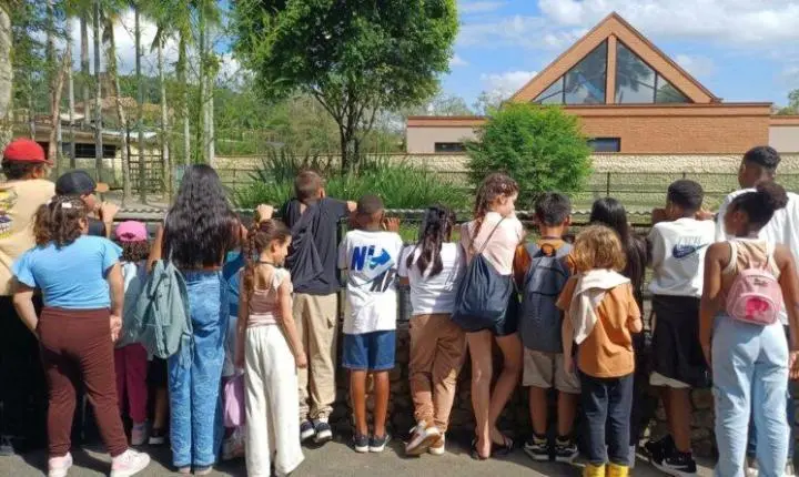 Prefeitura de Gaspar leva crianças atendidas pelos CRAS ao Zoo Pomerode
