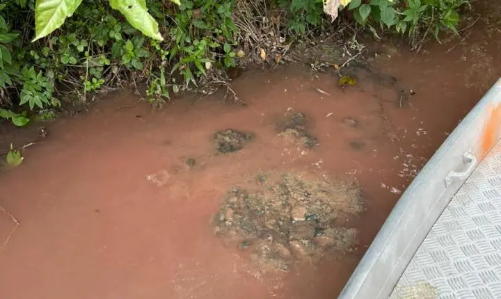 Prefeitura de Timbó aciona órgãos ambientais após denúncia no Rio Benedito
