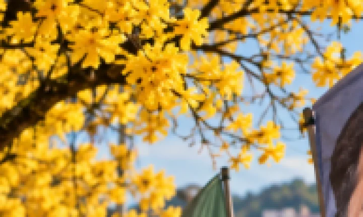 PRIMAVERA ELEITORAL