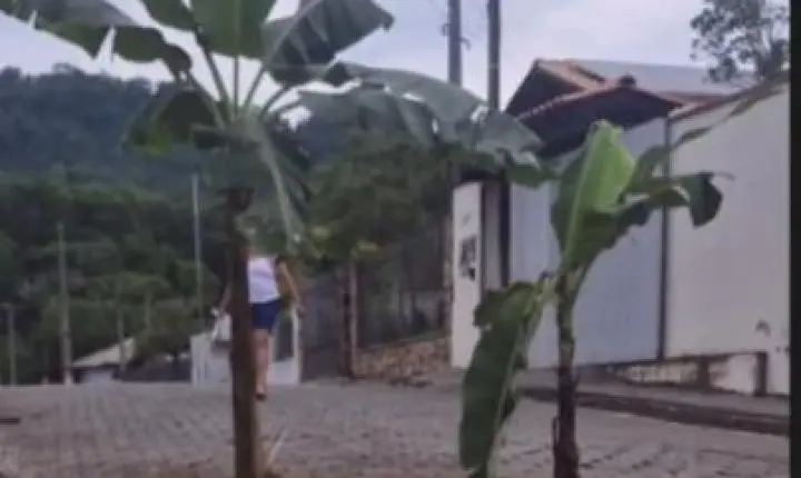 Protesto inusitado chama atenção para abandono de rua em Blumenau