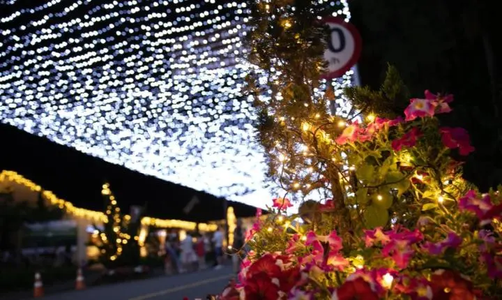 Rua Coberta de Luzes retorna a Pomerode e permanecerá iluminada durante todo o ano