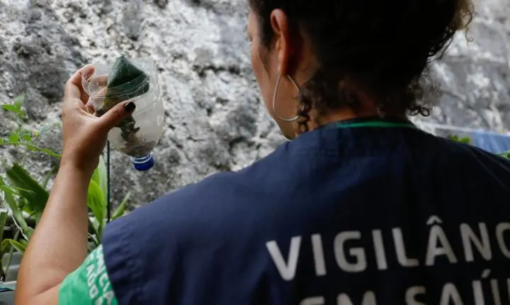 São Paulo registra mais de 58 mil casos de dengue em meio a dezenas de mortes