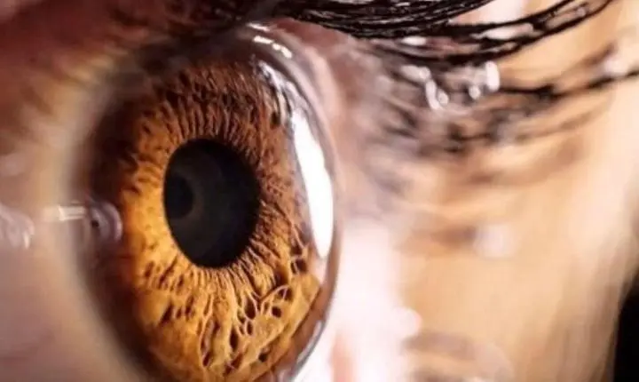Saúde ocular contemporânea entra em pauta no XIX Congresso Sul-Brasileiro de Oftalmologia, em SC