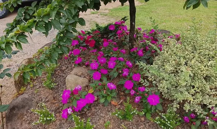 Sítio Águas de São João: Paz, Conforto e Natureza no Coração de Benedito Novo (SC)