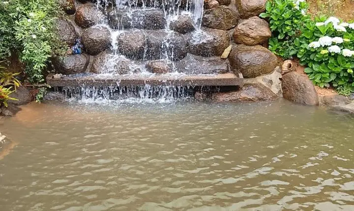 Sítio Águas de São João: Paz, Conforto e Natureza no Coração de Benedito Novo (SC)