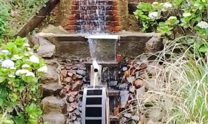 Sítio Águas de São João: Paz, Conforto e Natureza no Coração de Benedito Novo (SC)