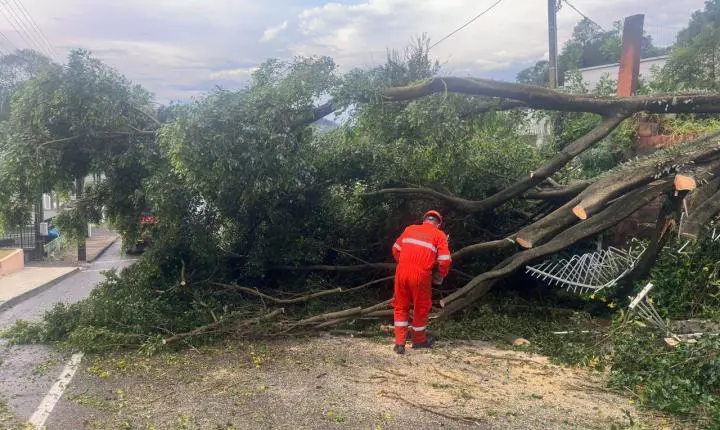 Temporal com vento forte provoca destelhamentos e queda de árvores em Concórdia
